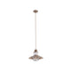 Lusa cage dome pendant light in aged brown metal on a white background