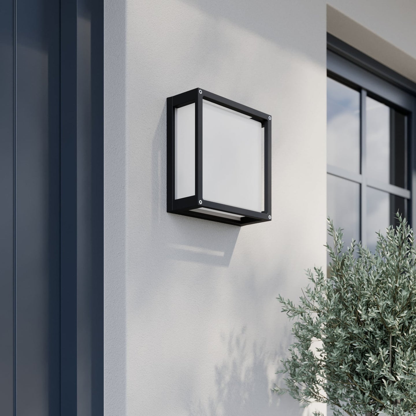 Auri square outdoor wall light in daylight on a white render wall, showing the dark grey cage frame and white glass face