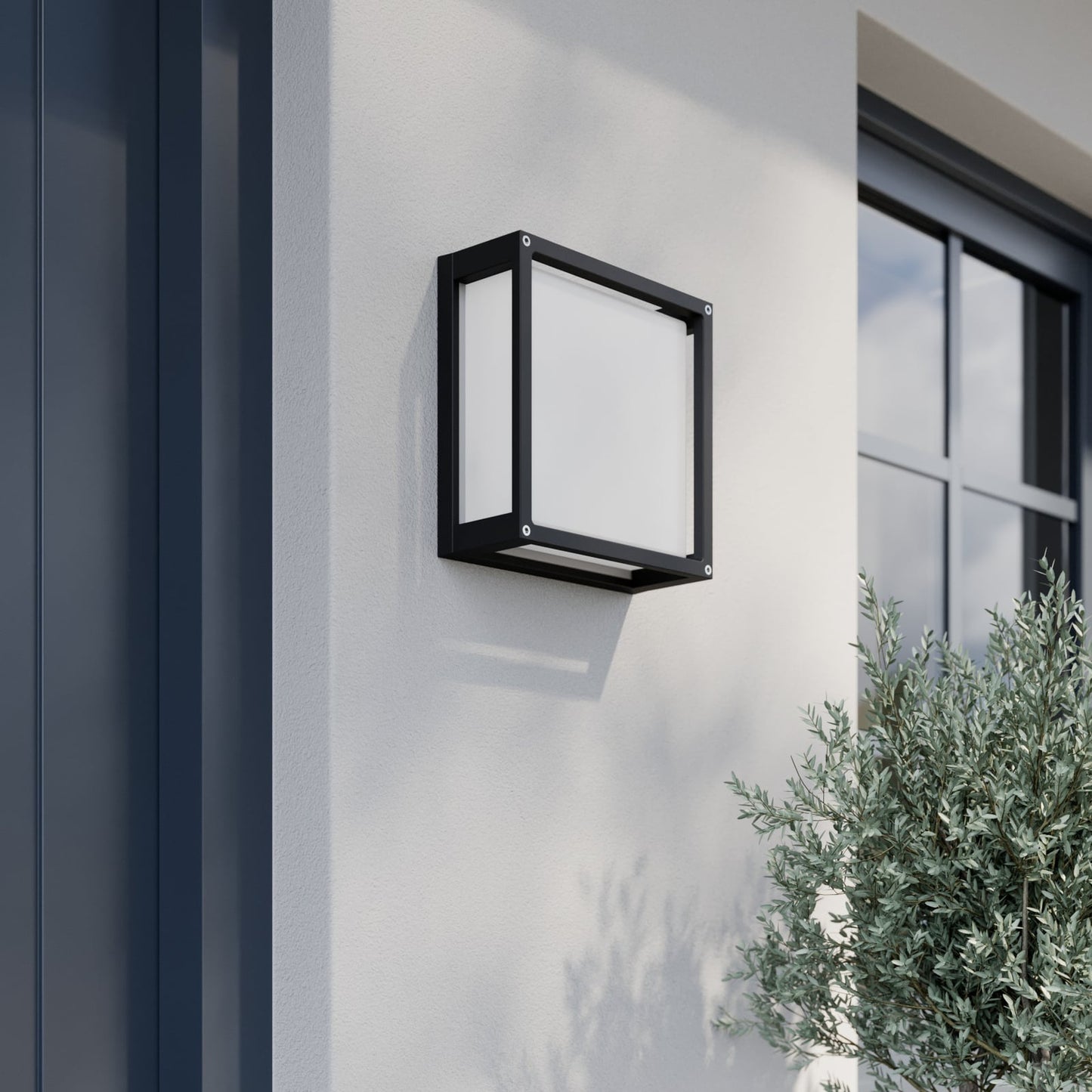 Auri square outdoor wall light in daylight on a white render wall, showing the dark grey cage frame and white glass face