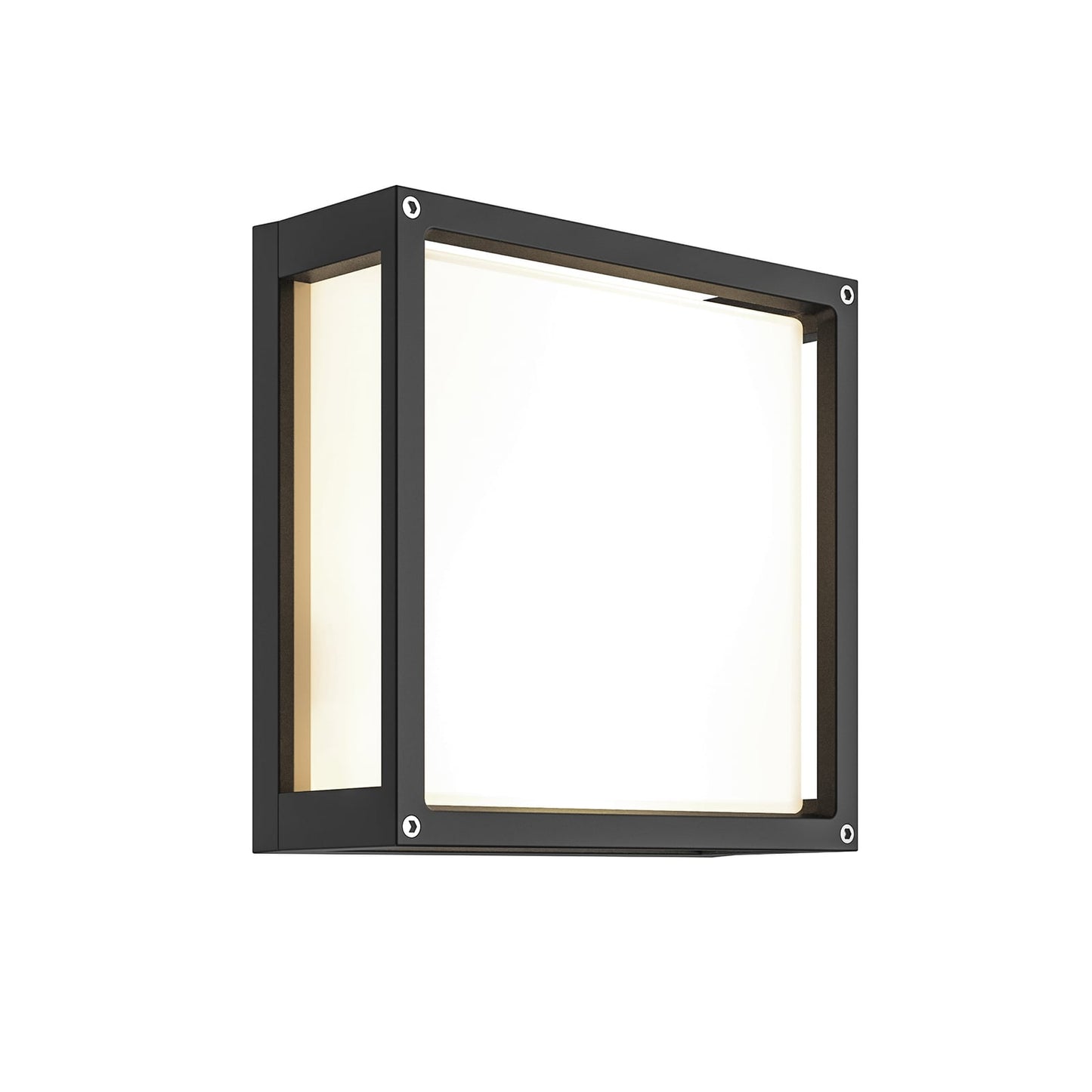 Auri square outdoor wall light on a plain white background, dark grey die-cast aluminium frame around a white glass diffuser