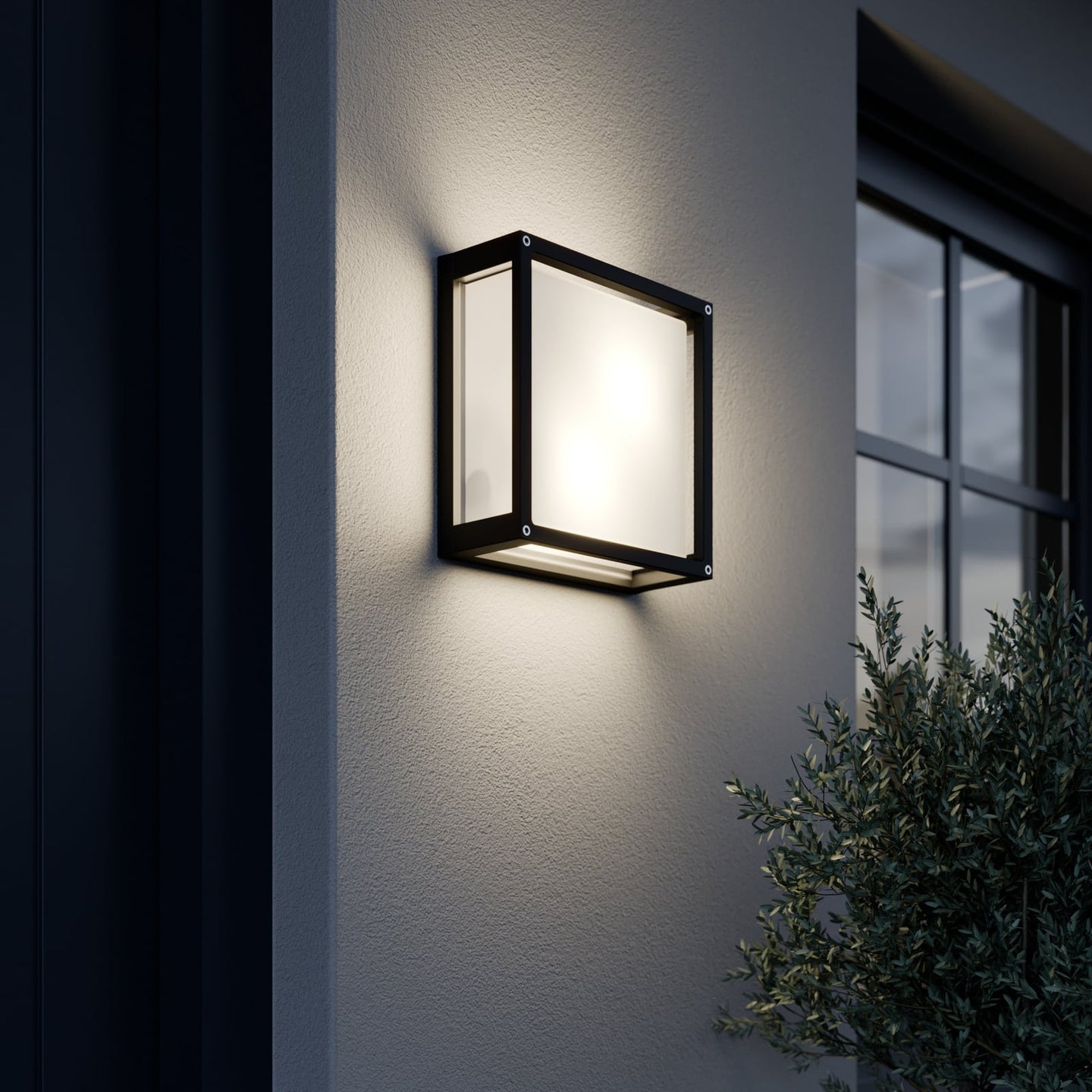 Auri square outdoor wall light lit beside a dark framed window and an olive tree, throwing a soft warm wash on the wall