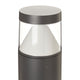 Darjo Tall Bollard Light on a plain white background showing the anthracite post and clear head