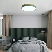 Horizon Ultra-Thin Ceiling Light