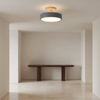 Acorn ceiling light colour options