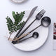 Napoli Mirror Finish Cutlery Set