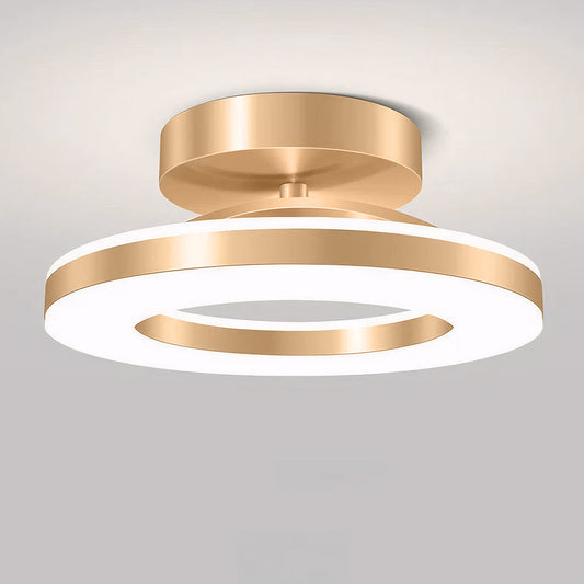 Slimline Iron Flush Ceiling Light