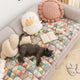 Pastoral Plush Cushion and Runner Covers