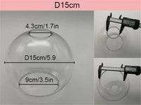 Clear Glass Lampshade, Six Diameters