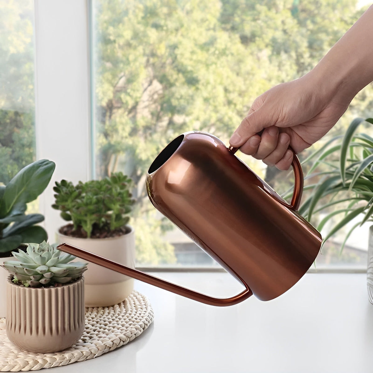 Long Spout Stainless Steel Watering Can