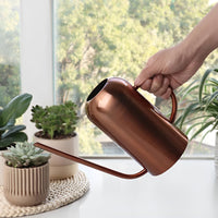 Long Spout Stainless Steel Watering Can