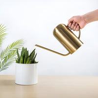 Long Spout Stainless Steel Watering Can