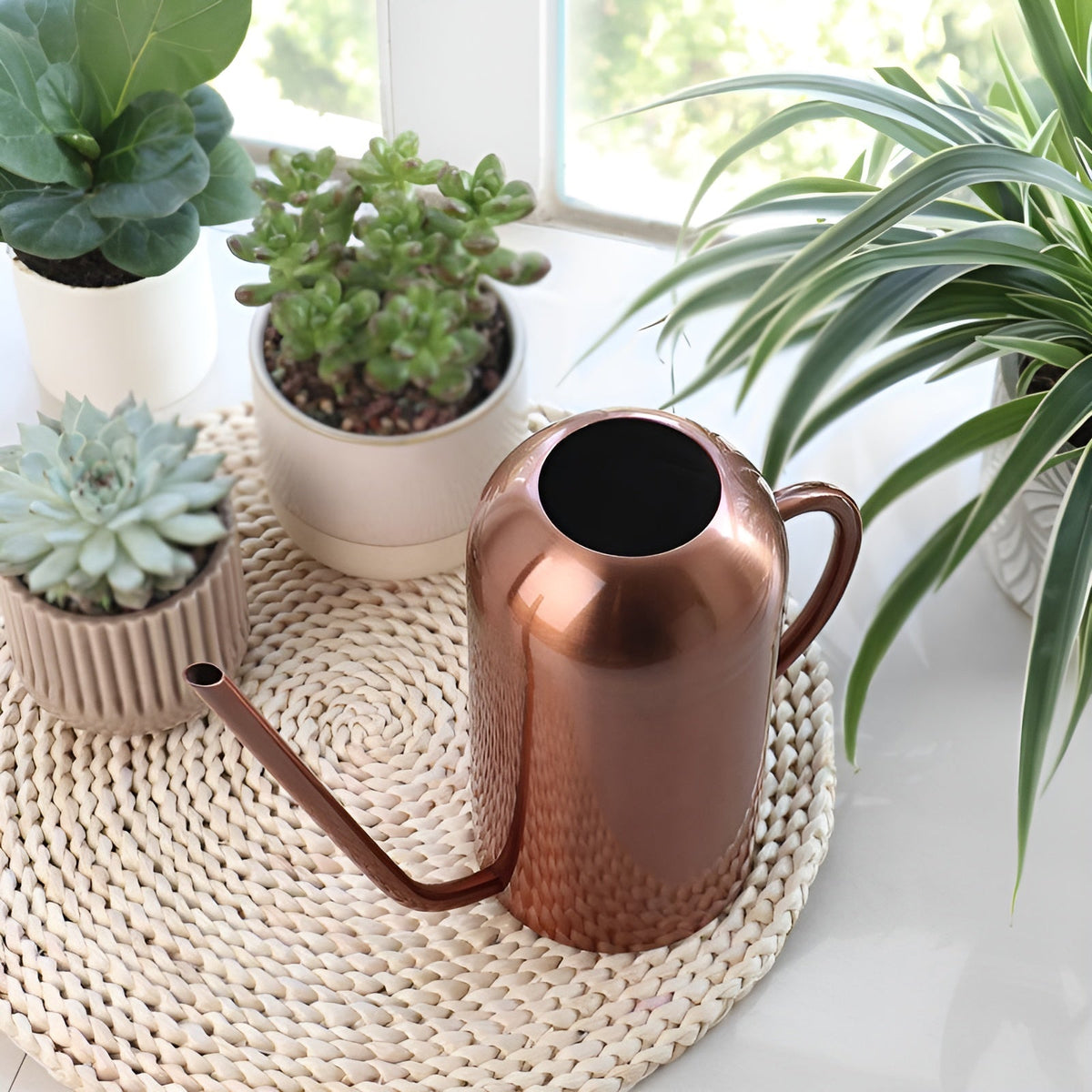 Long Spout Stainless Steel Watering Can