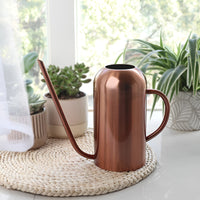 Long Spout Stainless Steel Watering Can