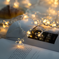 Sparkle Decorative LED String Lights