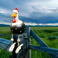 Big-Eyed Resin Chicken Statue 28cm