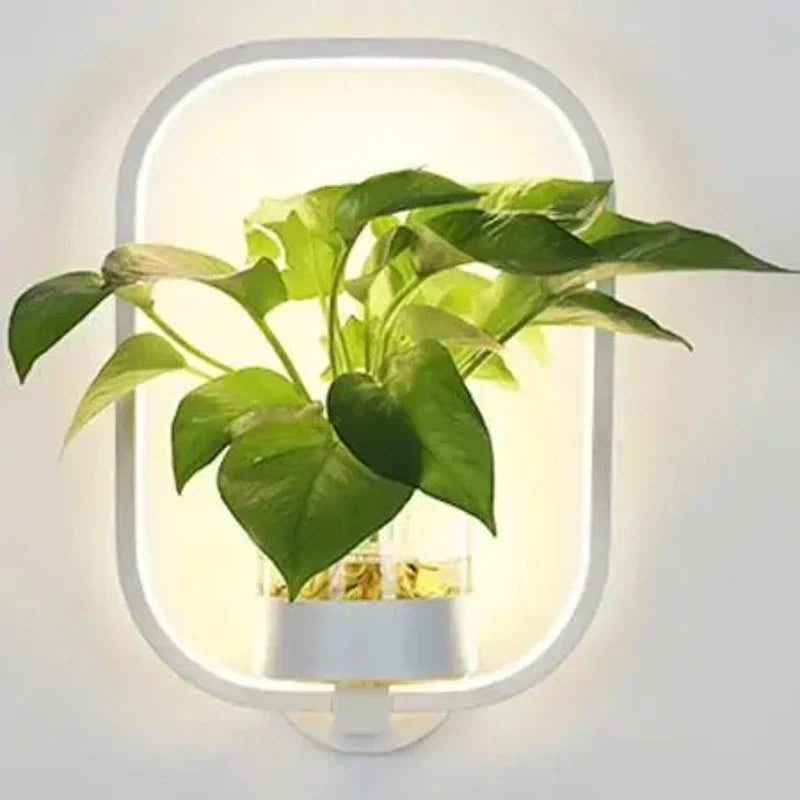 Glass Trough Plant Wall Light 22cm