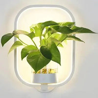 Glass Trough Plant Wall Light 22cm