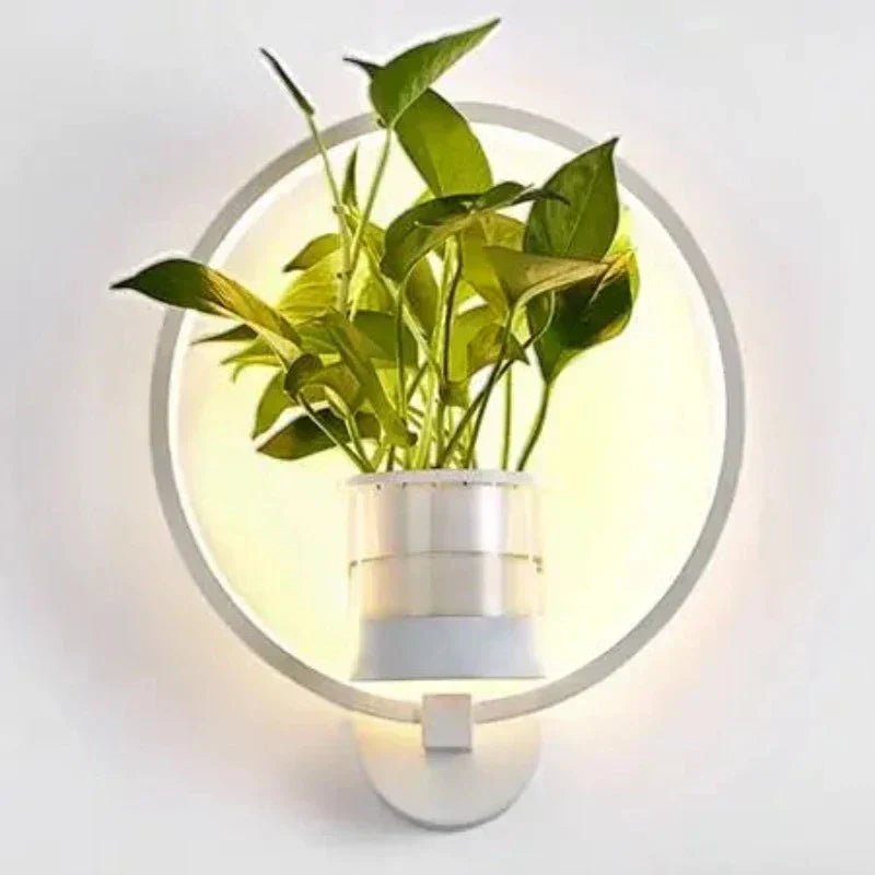 Glass Trough Plant Wall Light 22cm