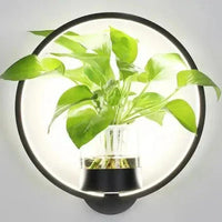 Glass Trough Plant Wall Light 22cm