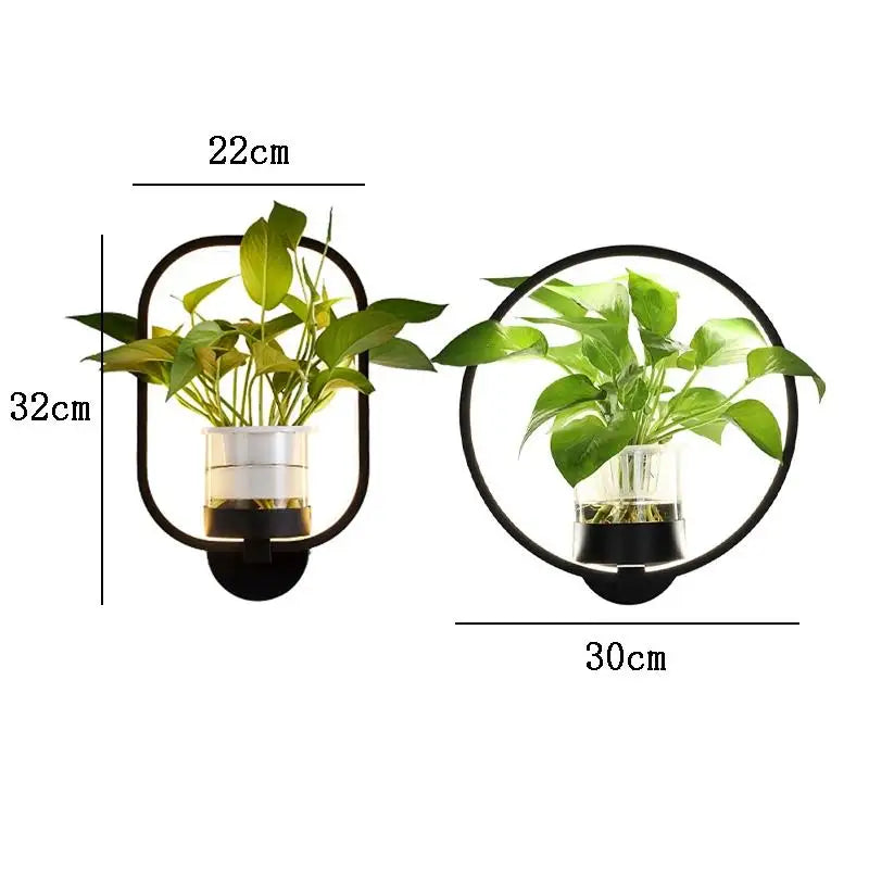 Glass Trough Plant Wall Light 22cm
