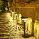 Solar Lawn Path Light 42cm
