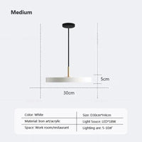 Slim Disc LED Pendant Light