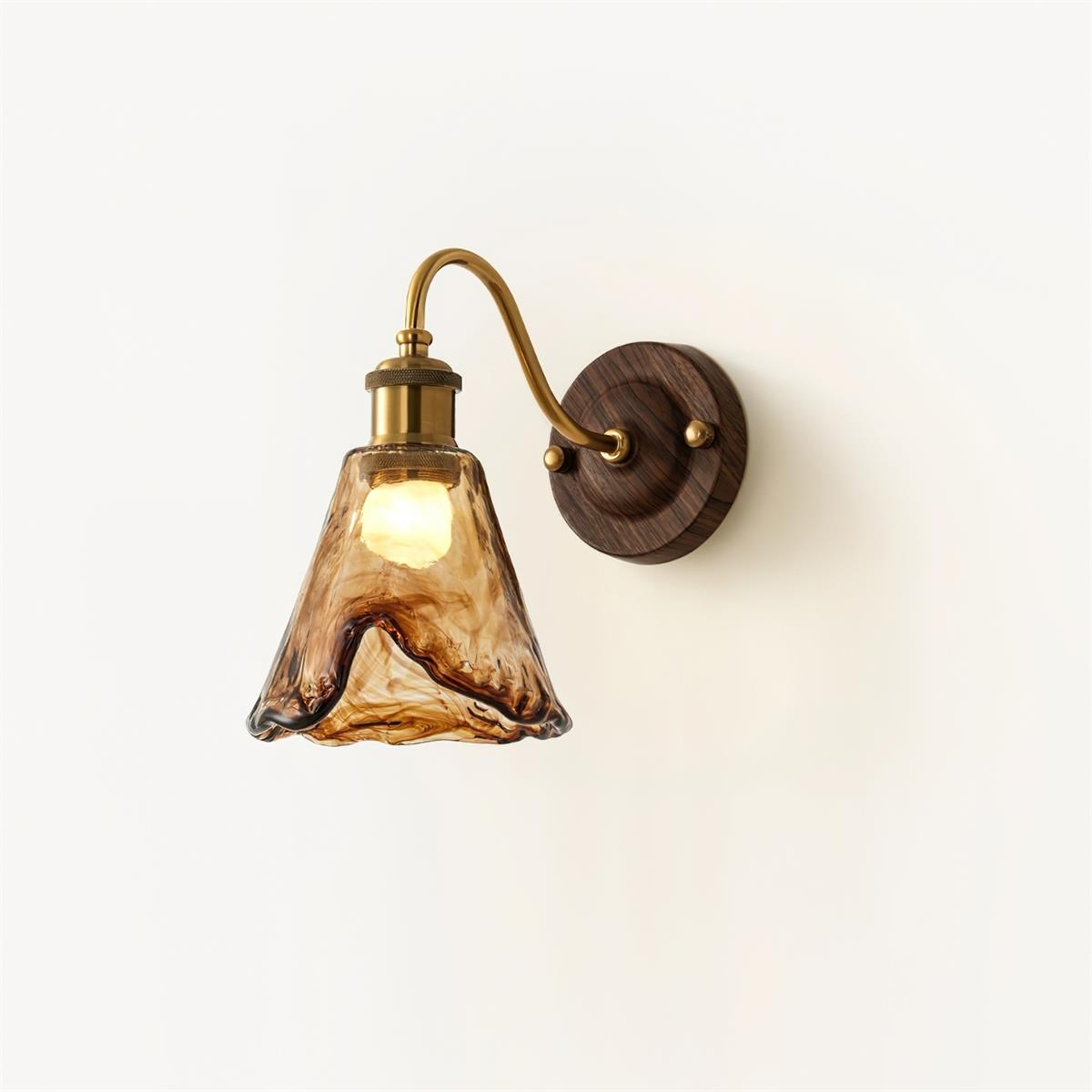 Ambro amber glass wall sconce with brass swan neck arm on a plain cream background