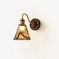 Ambro amber glass wall sconce with brass swan neck arm on a plain cream background