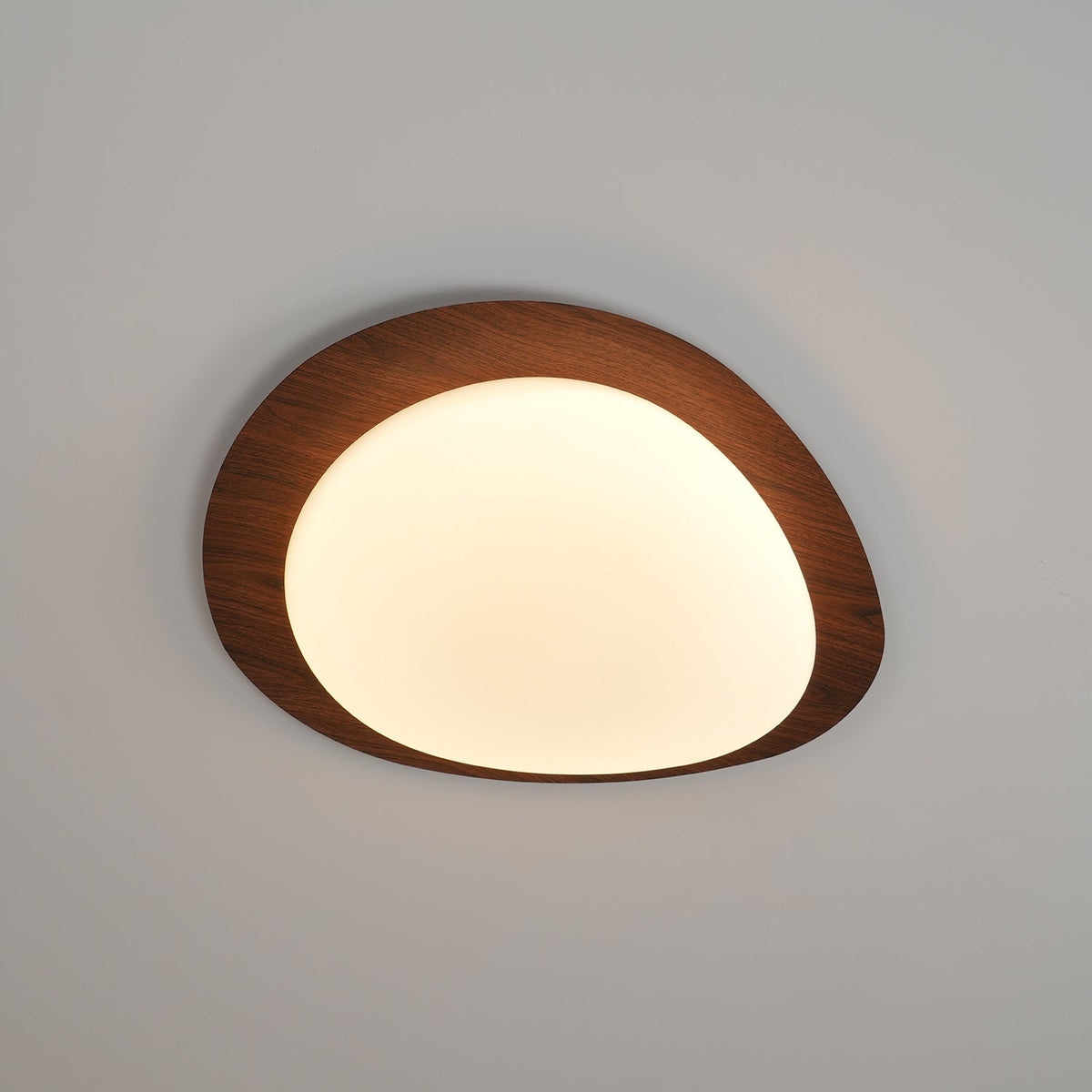 Quisto Pebble Walnut Ceiling Light lit and seen straight on against a soft grey ceiling