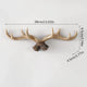Antler Wall Hooks