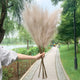 Artificial Pampas Grass Bundle