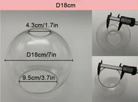 Clear Glass Lampshade, Six Diameters