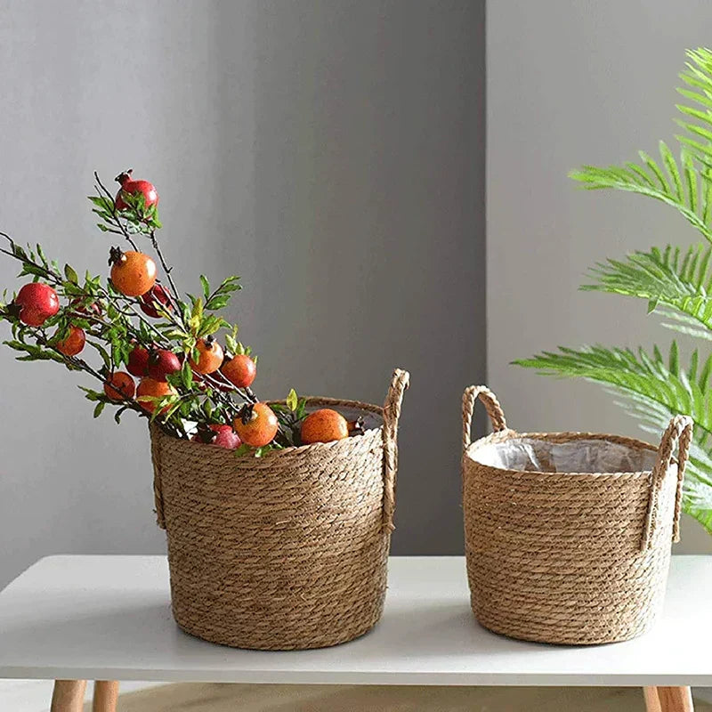 Plant basket sizes
