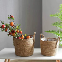 Plant basket sizes