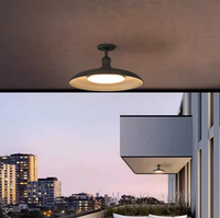 IP65 Outdoor Porch Ceiling Light