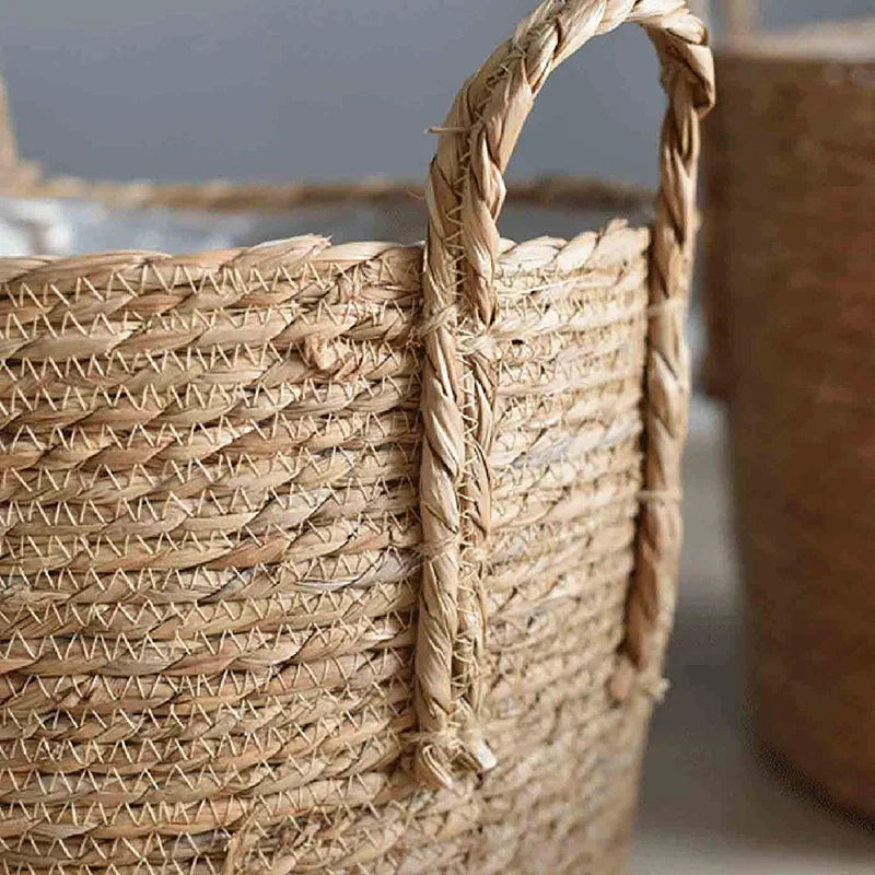 Plant basket holding a plant