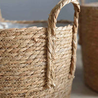 Plant basket holding a plant