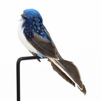 Decorative Feathered Bird 15cm