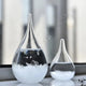 Fitzroy Storm Glass Weather Predictor