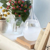Fitzroy Storm Glass Weather Predictor