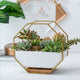 Octagonal Wall Planter Shelf