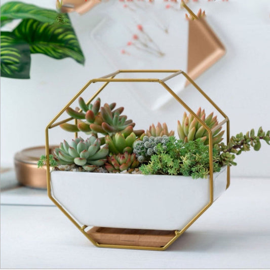 Octagonal Wall Planter Shelf