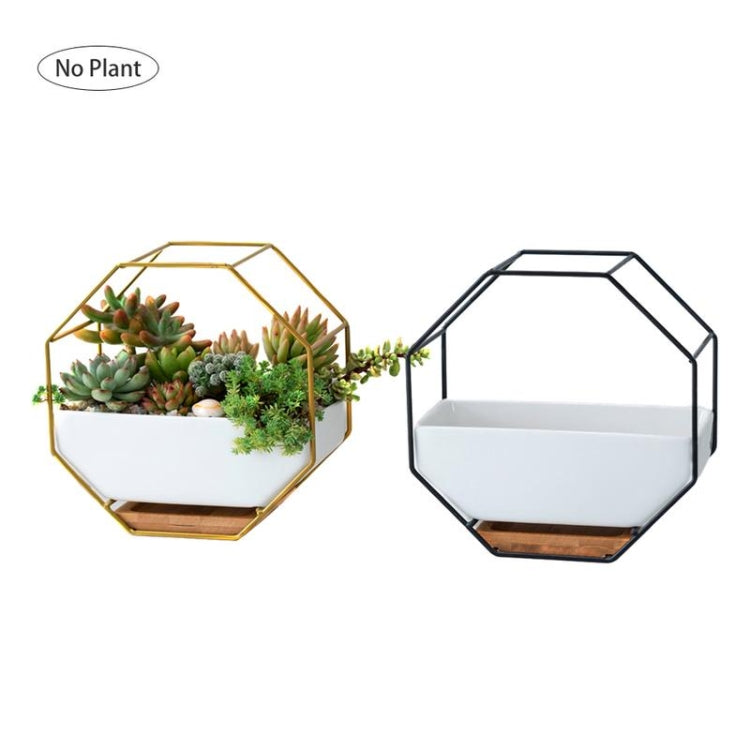 Octagonal Wall Planter Shelf