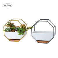 Octagonal Wall Planter Shelf