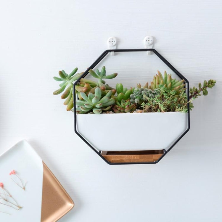 Octagonal Wall Planter Shelf