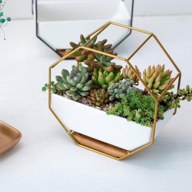 Octagonal Wall Planter Shelf