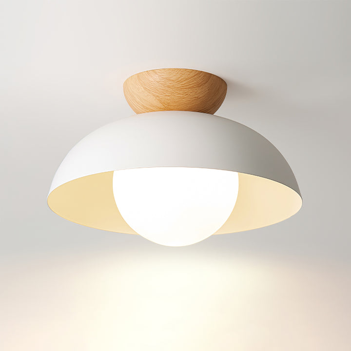 Glass Dome Ceiling Light 30cm