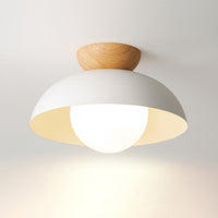 Glass Dome Ceiling Light 30cm
