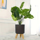 Round Planter with Wooden Legs