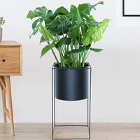 Rectangular Metal Plant Stand